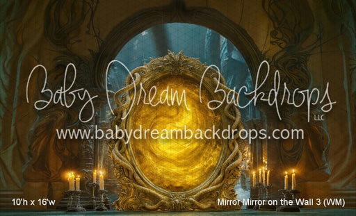 Mirror Mirror on the Wall 3 (WM)