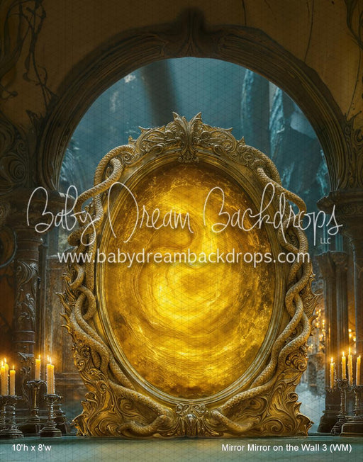 Mirror Mirror on the Wall 3 (WM)