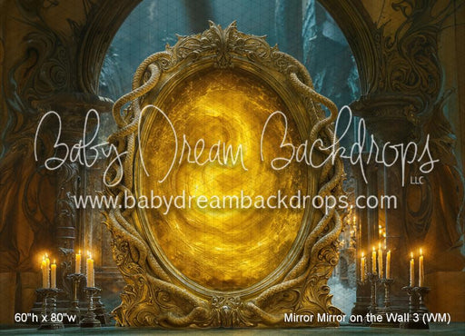 Mirror Mirror on the Wall 3 (WM)