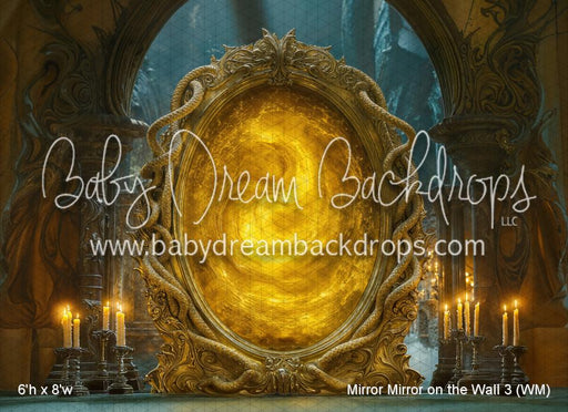 Mirror Mirror on the Wall 3 (WM)