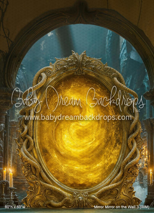 Mirror Mirror on the Wall 3 (WM)