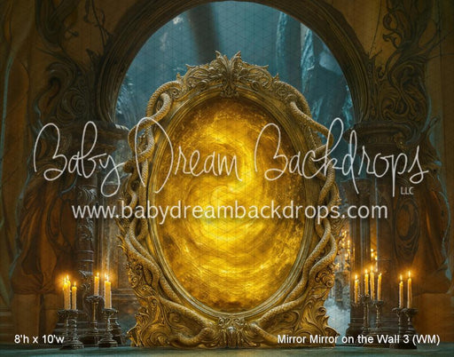 Mirror Mirror on the Wall 3 (WM)