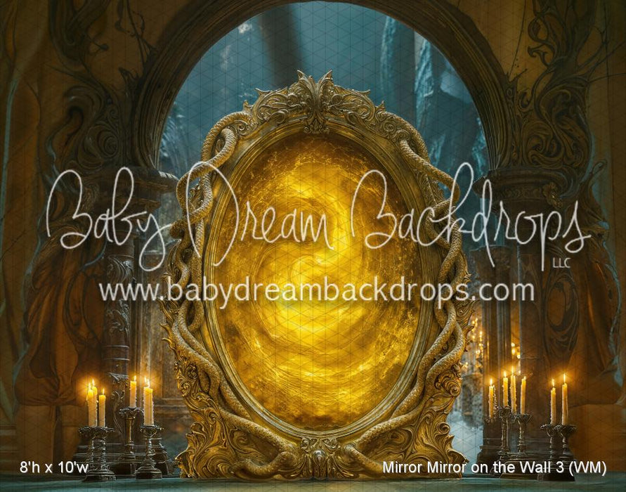 Mirror Mirror on the Wall 3 (WM)