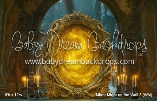 Mirror Mirror on the Wall 3 (WM)