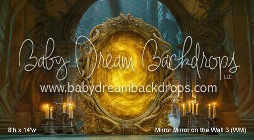 Mirror Mirror on the Wall 3 (WM)