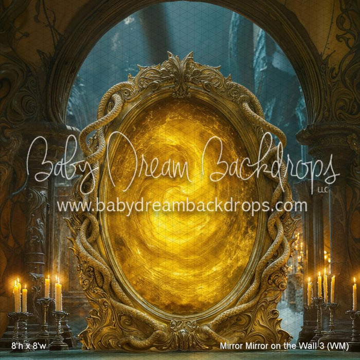 Mirror Mirror on the Wall 3 (WM)