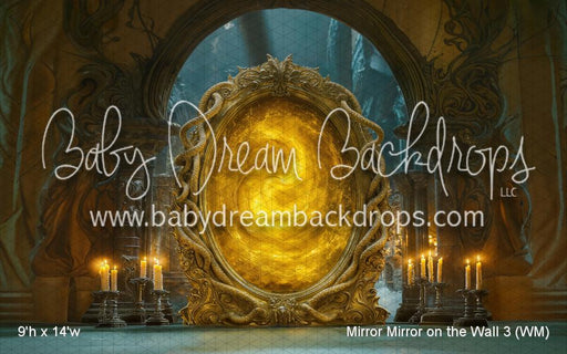 Mirror Mirror on the Wall 3 (WM)