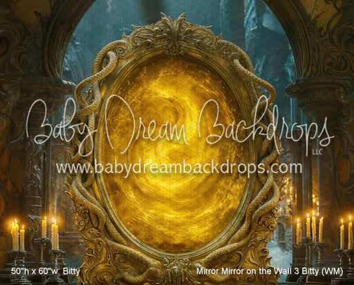 Mirror Mirror on the Wall 3 Bitty (WM)