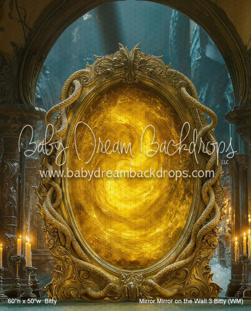 Mirror Mirror on the Wall 3 Bitty (WM)