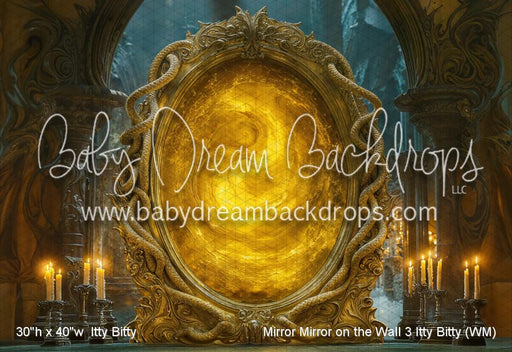 Mirror Mirror on the Wall 3 Itty Bitty (WM)