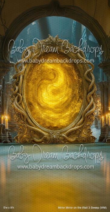 Mirror Mirror on the Wall 3 Sweep (WM)