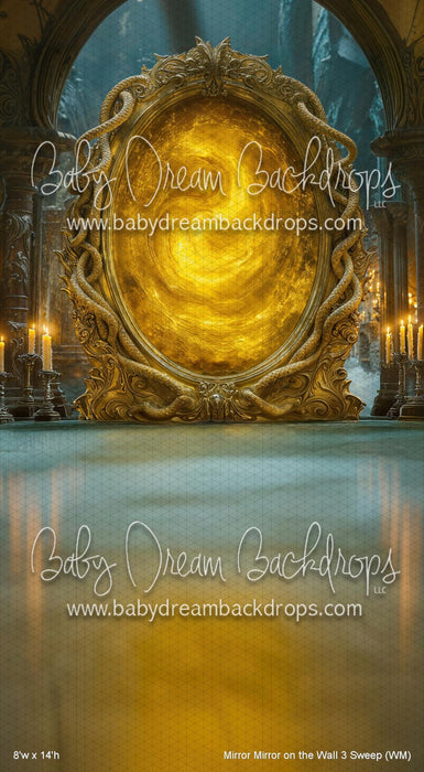 Mirror Mirror on the Wall 3 Sweep (WM)