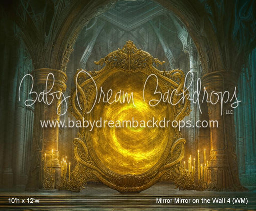 Mirror Mirror on the Wall 4 (WM)