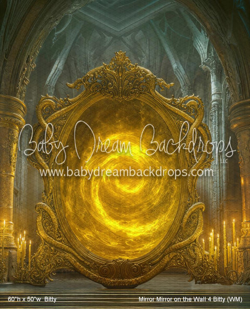 Mirror Mirror on the Wall 4 Bitty (WM)