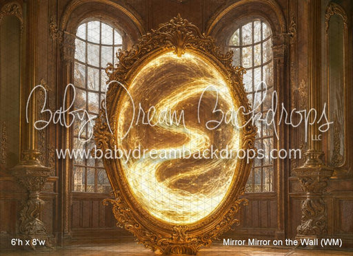 Mirror Mirror on the Wall (WM)