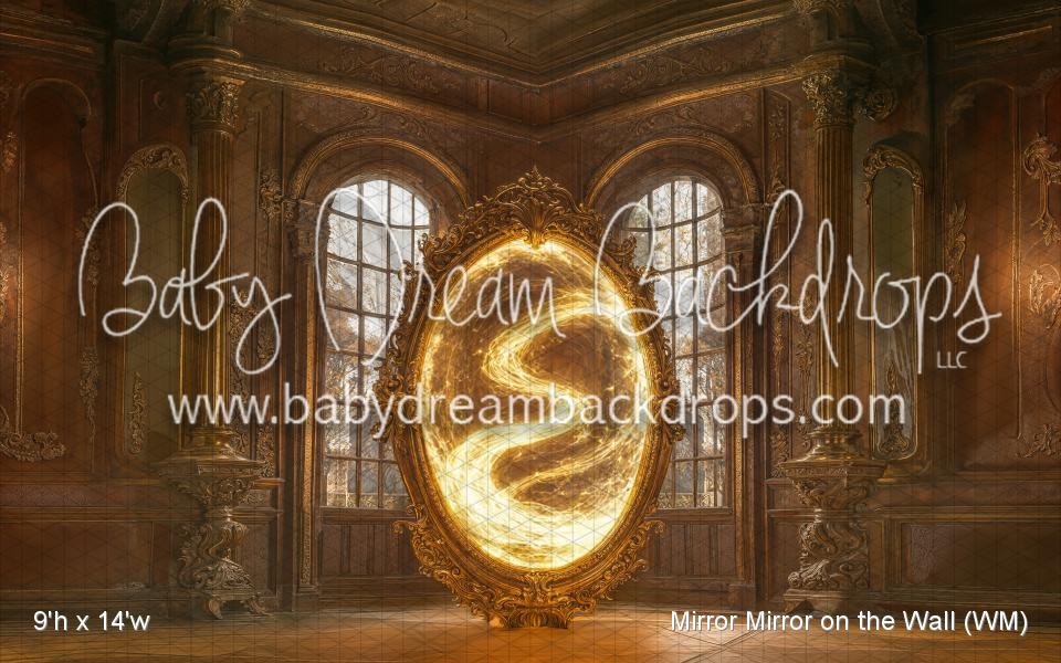 Mirror Mirror on the Wall (WM)