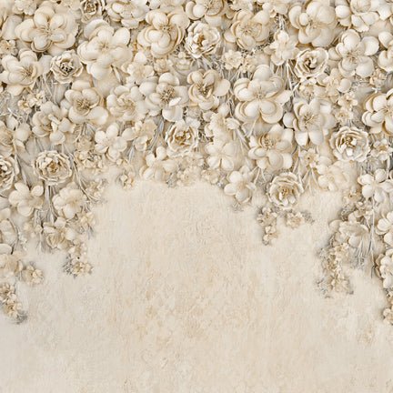 Miss Maddie (2) Cream