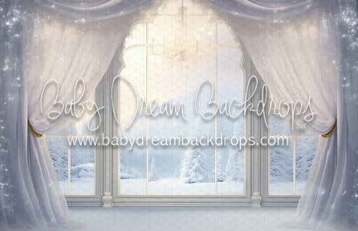 Mist Enchanted Winter View (MD)