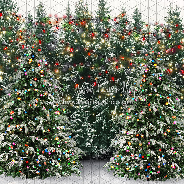 Mistletoe Farms Forest (JA)