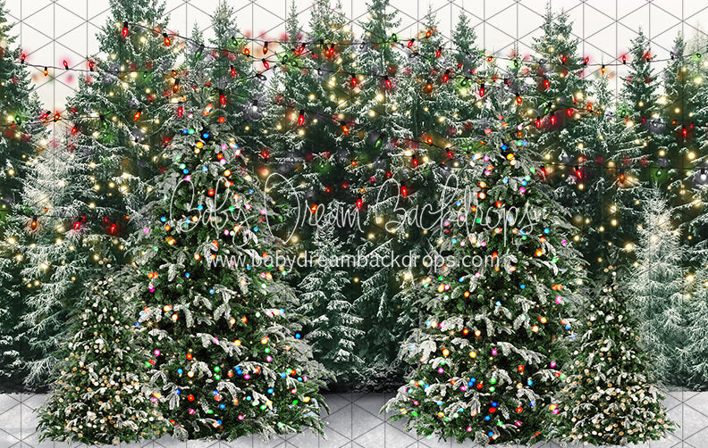 Mistletoe Farms Forest (JA)