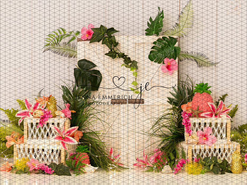 Modern Paradise (JE)