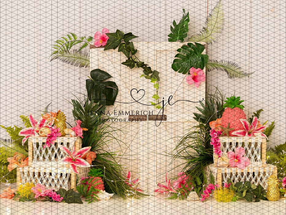 Modern Paradise (JE)