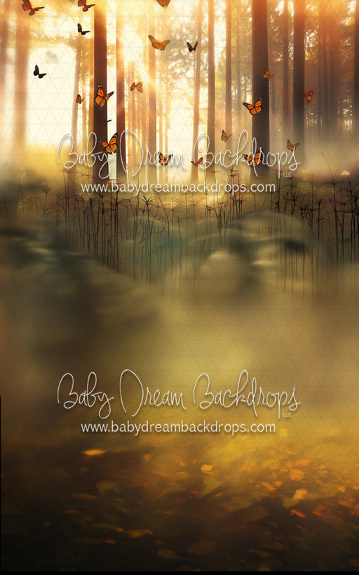 Monarch Forest Sweep (MD)