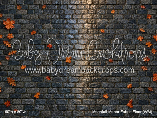 Moonfall Manor Fabric Floor (WM)