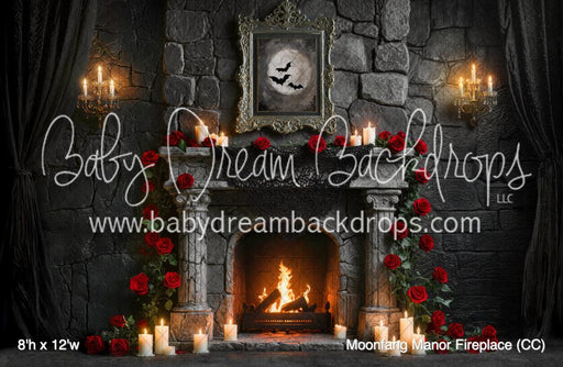 Moonfang Manor Fireplace (CC)