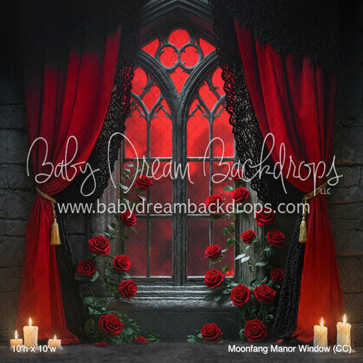 Moonfang Manor Window (CC)