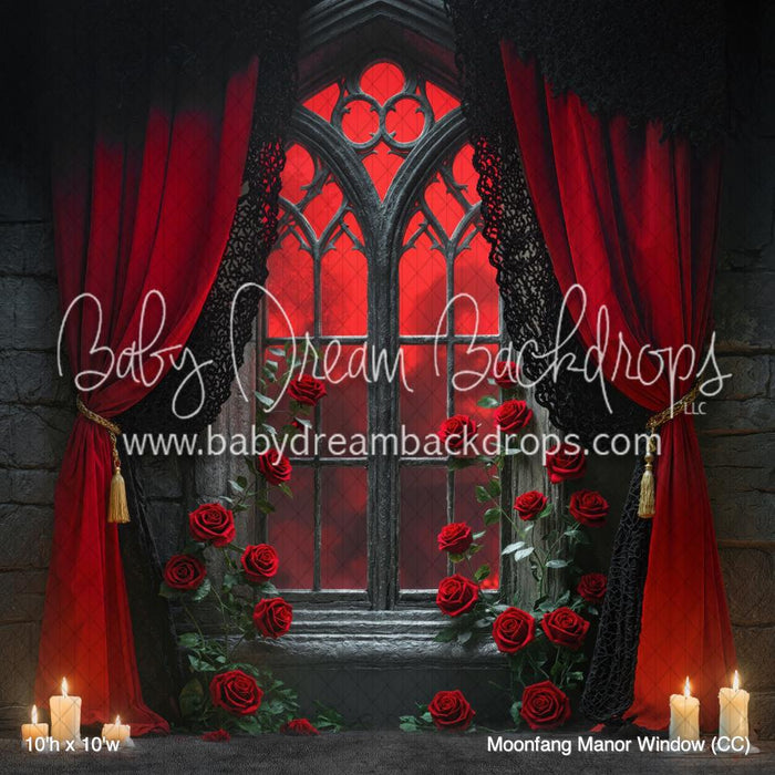 Moonfang Manor Window (CC)