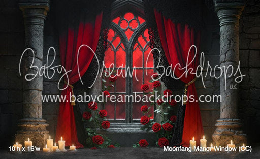 Moonfang Manor Window (CC)