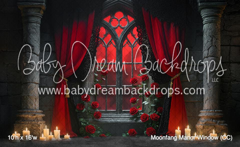 Moonfang Manor Window (CC)