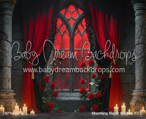 Moonfang Manor Window (CC)