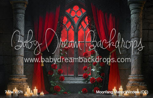 Moonfang Manor Window (CC)