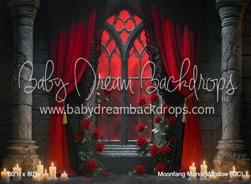 Moonfang Manor Window (CC)