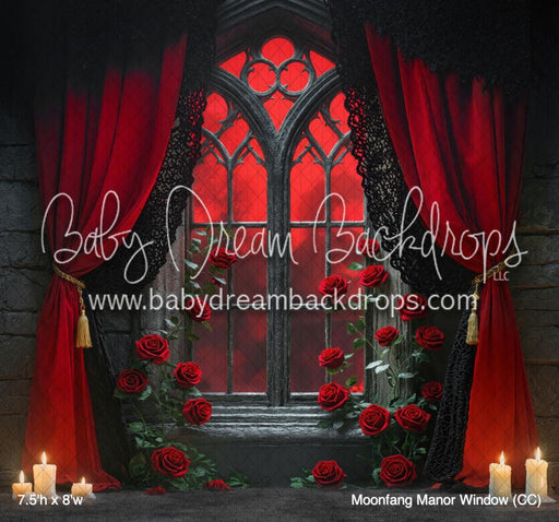 Moonfang Manor Window (CC)