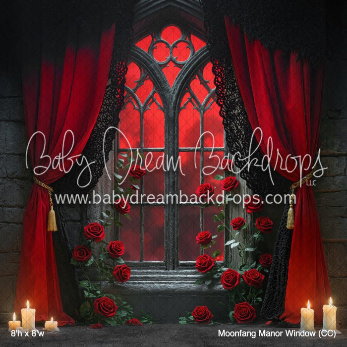 Moonfang Manor Window (CC)