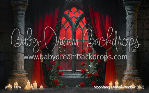 Moonfang Manor Window (CC)