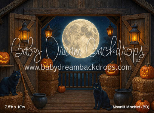 Moonlit Mischief (BD)