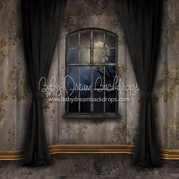 Moonlit Mansion Window