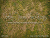 Moss and Dirt Fabric Floor (WM)