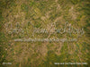 Moss and Dirt Fabric Floor (WM)