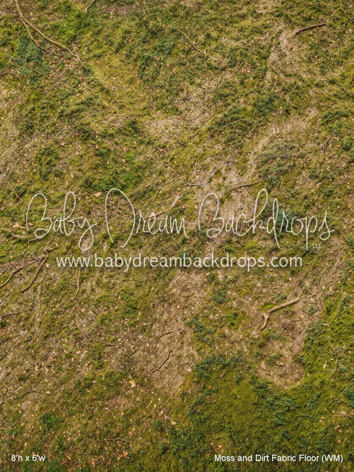 Moss and Dirt Fabric Floor (WM)