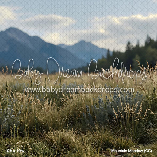 Mountain Meadow (CC)