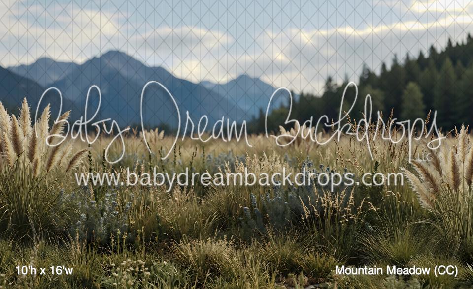 Mountain Meadow (CC)