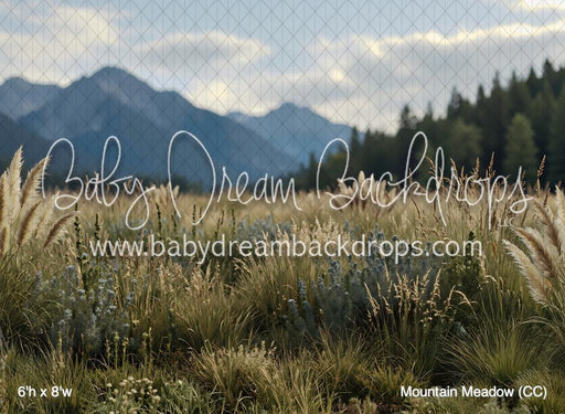 Mountain Meadow (CC)