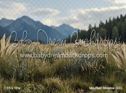 Mountain Meadow (CC)