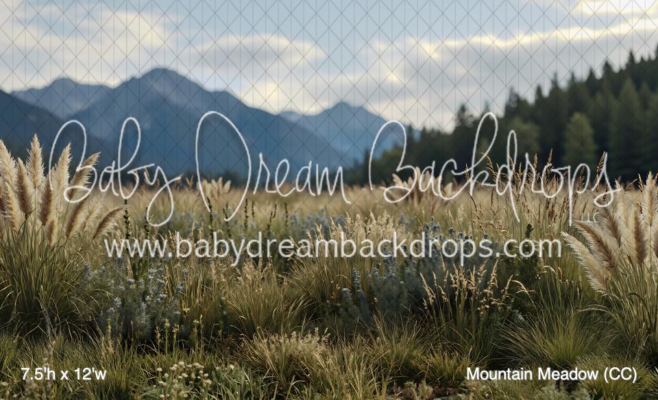 Mountain Meadow (CC)