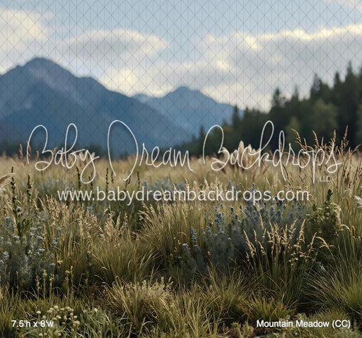 Mountain Meadow (CC)